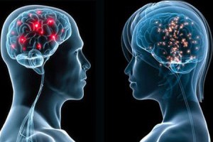 生活技.net: 腦殘有藥醫了！英國發現「智商基因」