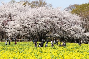 過年出國旅遊報名看仔細！觀光局公布39間問題旅行社